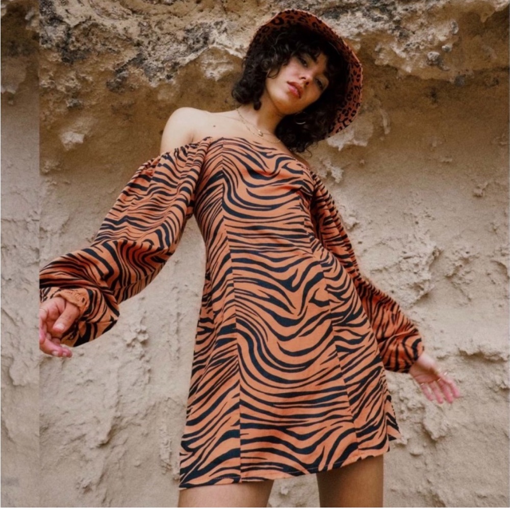 Billabong Desert Clay Tiger Zebra Feeling Flirty A-Line Long Sleeve Mini Dress